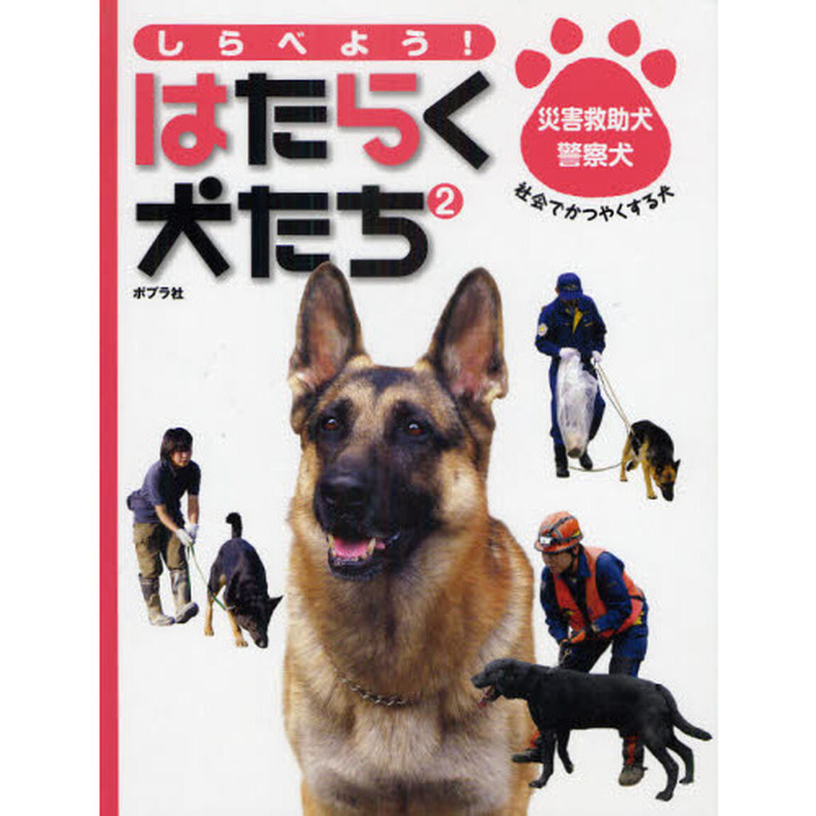 しらべよう！はたらく犬たち　２「災害救助犬・警察犬　社会でかつやくする犬」