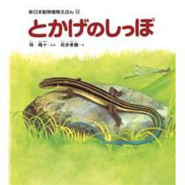 とかげのしっぽ