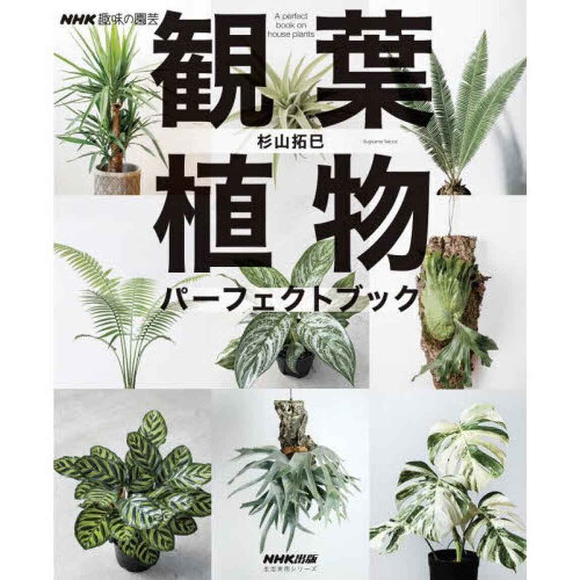 観葉植物パーフェクトブック