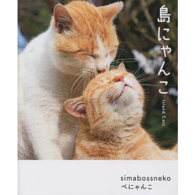 島にゃんこ