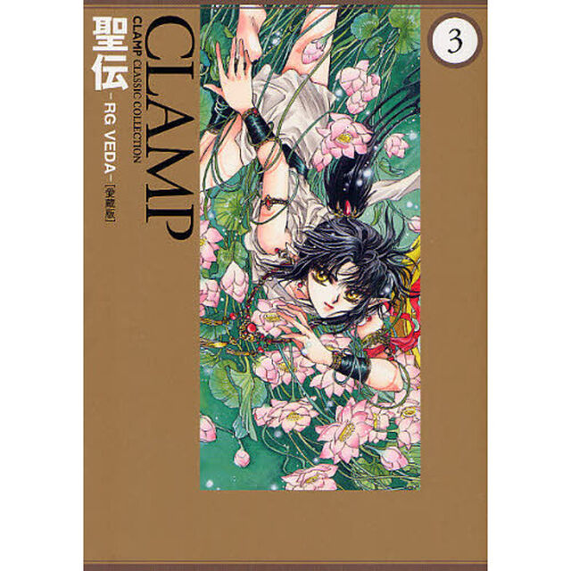 聖伝　ＲＧ　ＶＥＤＡ　３　愛蔵版