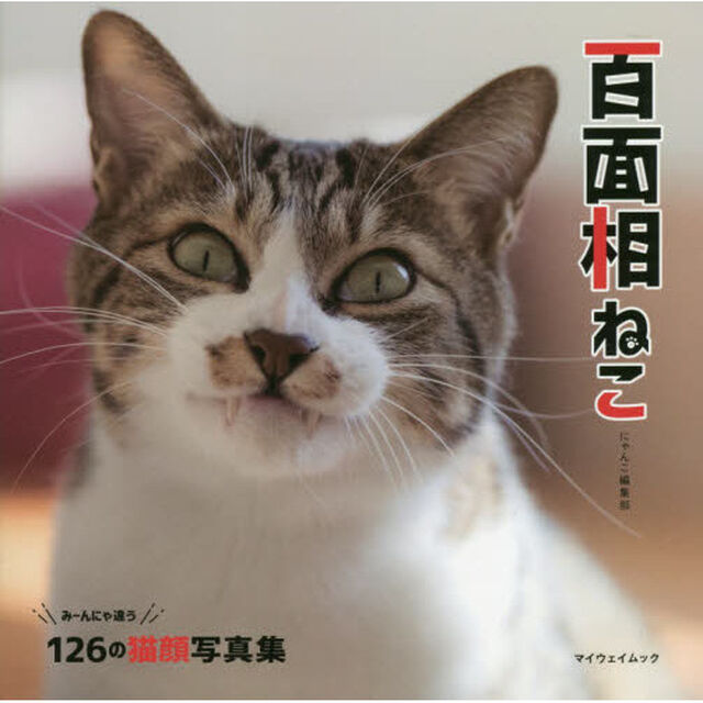 百面相ねこ