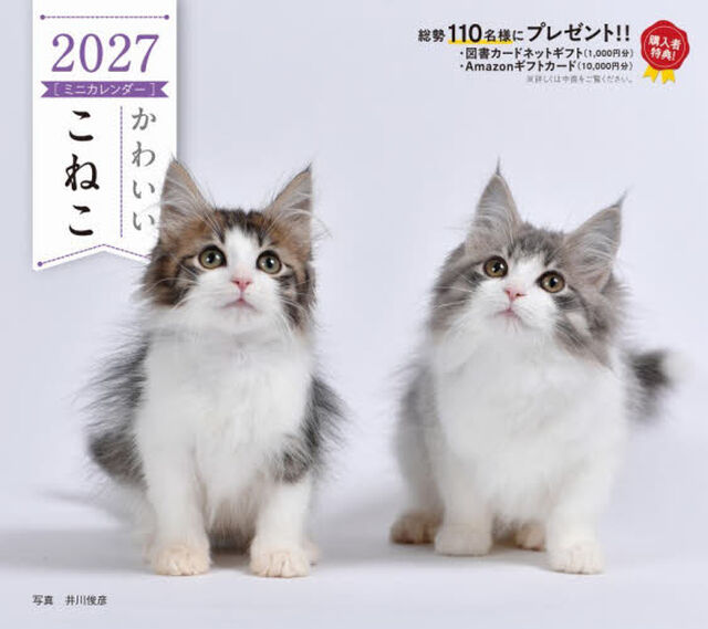 &rsquo;２７　カレンダーかわいいこねこ