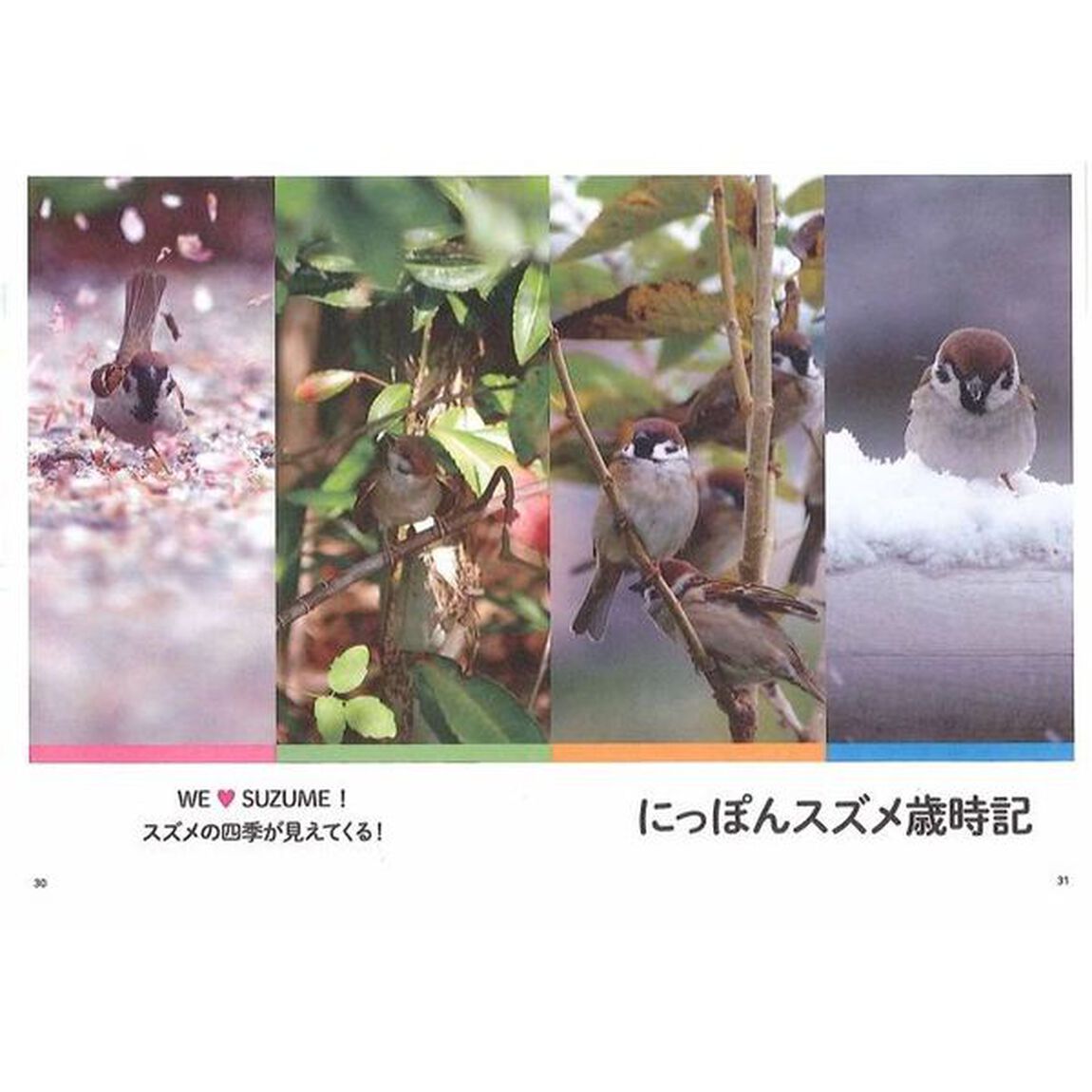 にっぽんスズメ歳時記　Ｗｅ【ラヴ】ＳＵＺＵＭＥ！