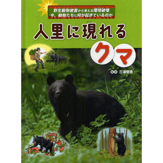 人里に現れるクマ