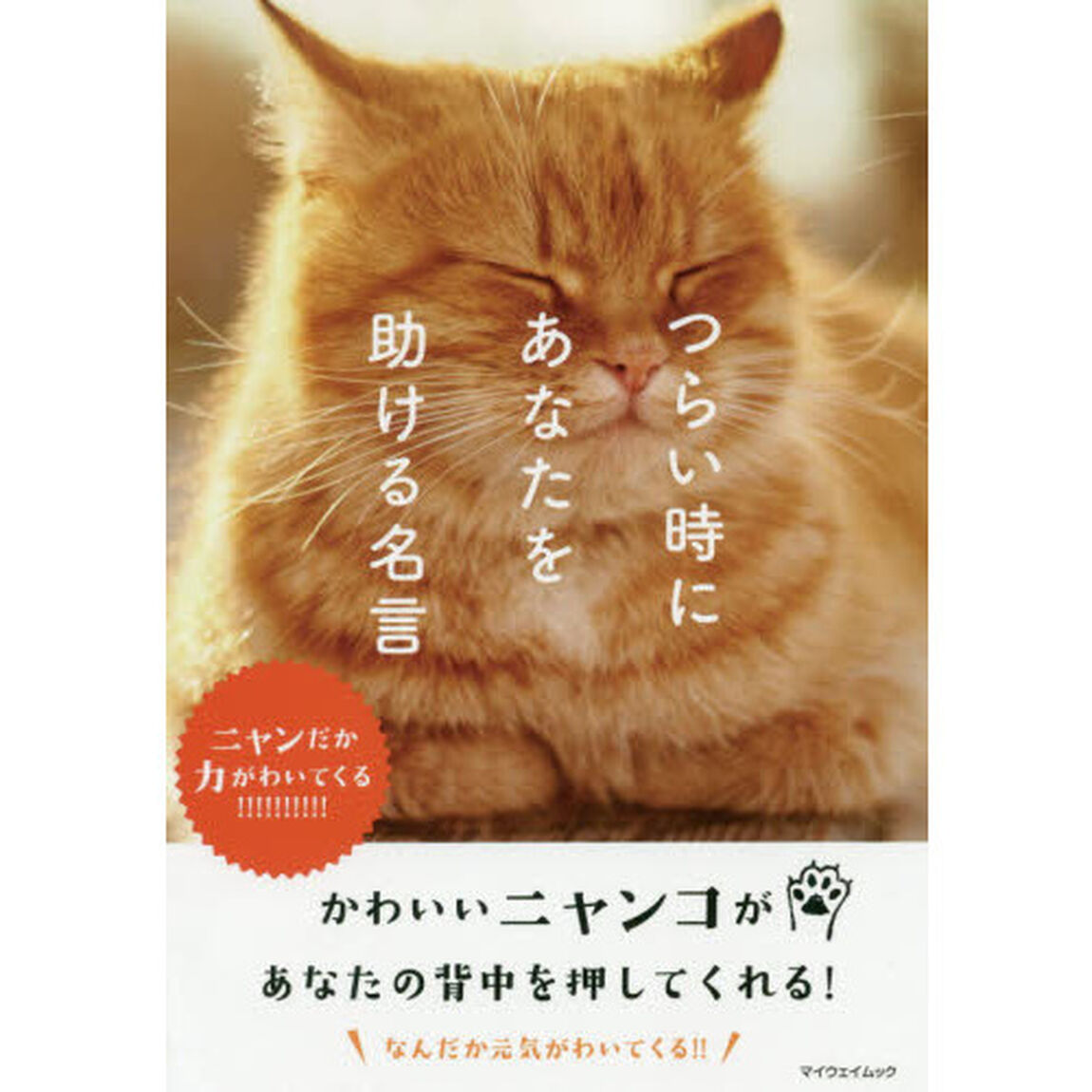 つらい時にあなたを助ける名言　ニャンだか力がわいてくる！！！！！！！！！！