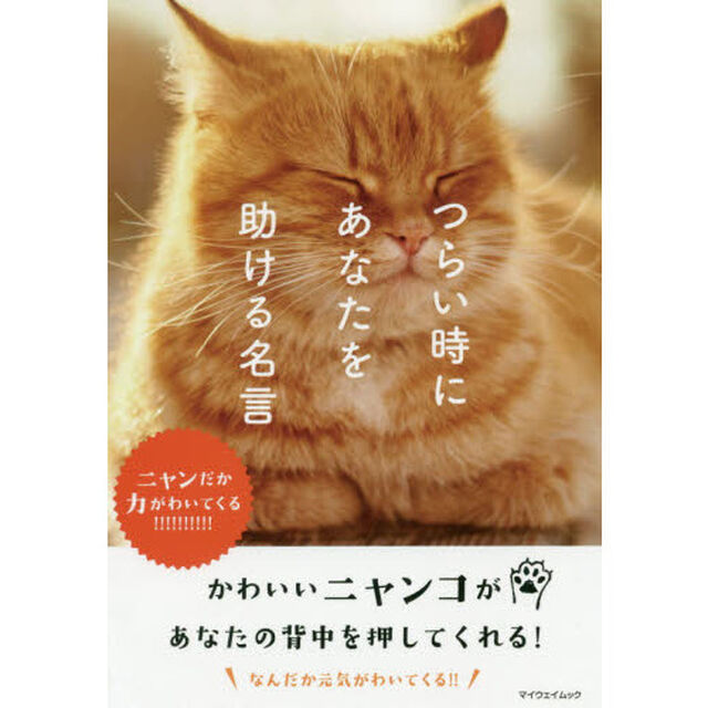 つらい時にあなたを助ける名言　ニャンだか力がわいてくる！！！！！！！！！！