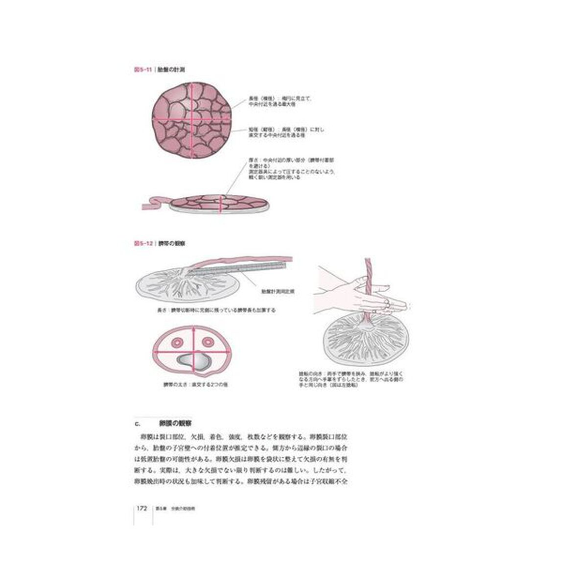 助産師基礎教育テキスト 2024年版 第5巻 分娩期の診断とケア