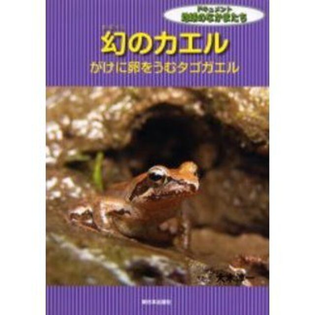 幻のカエル　がけに卵をうむタゴガエル