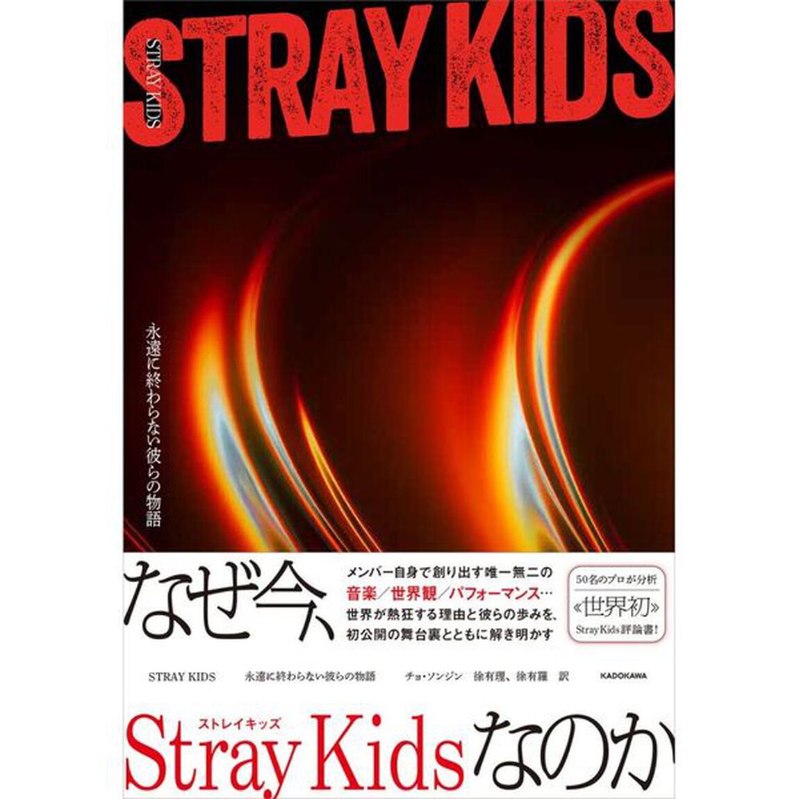 ＳＴＲＡＹ　ＫＩＤＳ永遠に終わらない彼らの物語