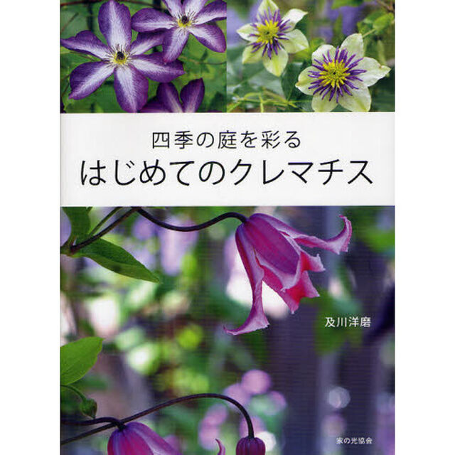 四季の庭を彩るはじめてのクレマチス