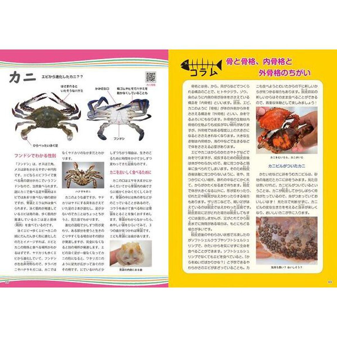 ハヤタケ先生の魚食大百科