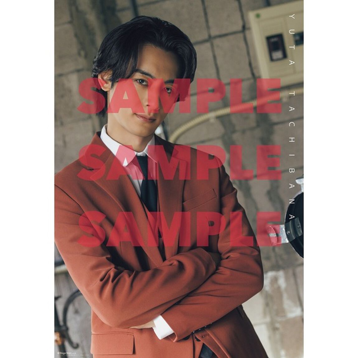 TVガイドStage Stars vol.29 セブンネットショッピング限定表紙版【セブンネット限定特典：立花裕大 生写真 2枚＋A2変形（390&times;560）サイズポスター（折り目あり）1枚付き】