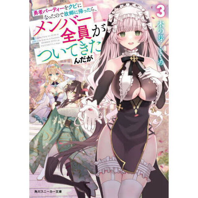 勇者パーティーをクビになったので故郷に帰ったら、メンバー全員がついてきたんだが　３