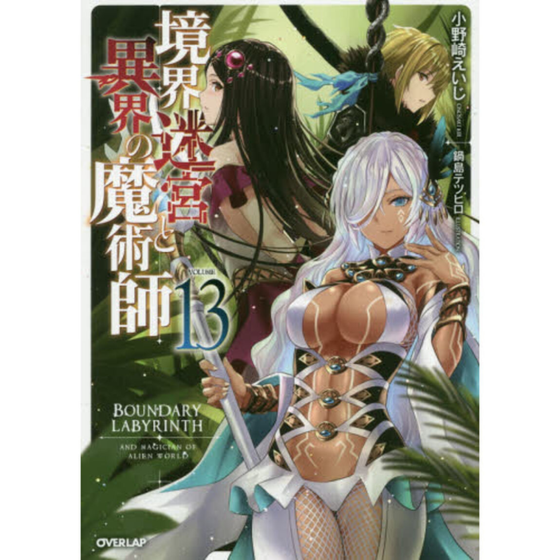 境界迷宮と異界の魔術師　１３