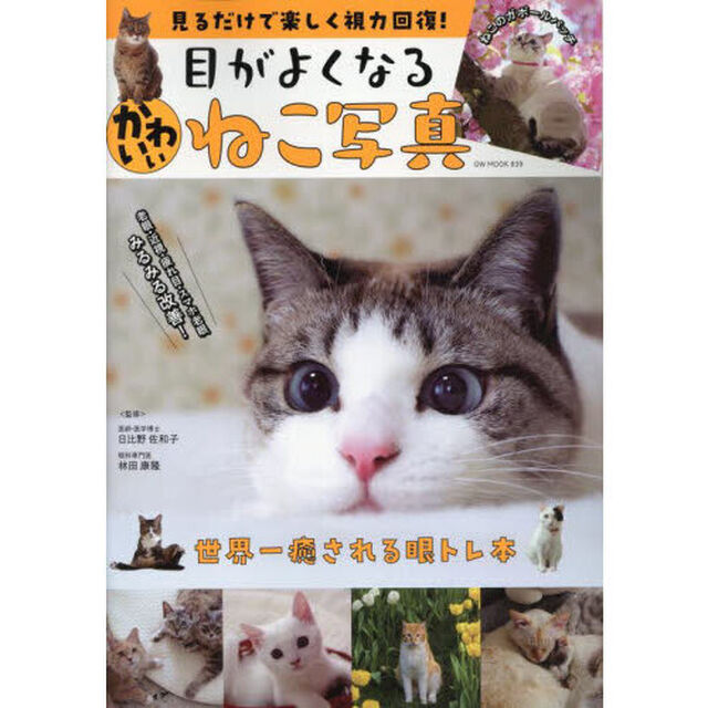目がよくなるかわいいねこ写真　見るだけで楽しく視力回復！