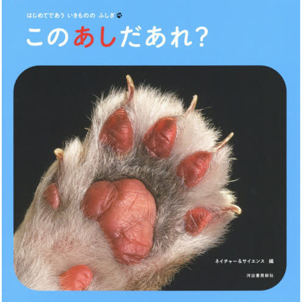 このあしだあれ？