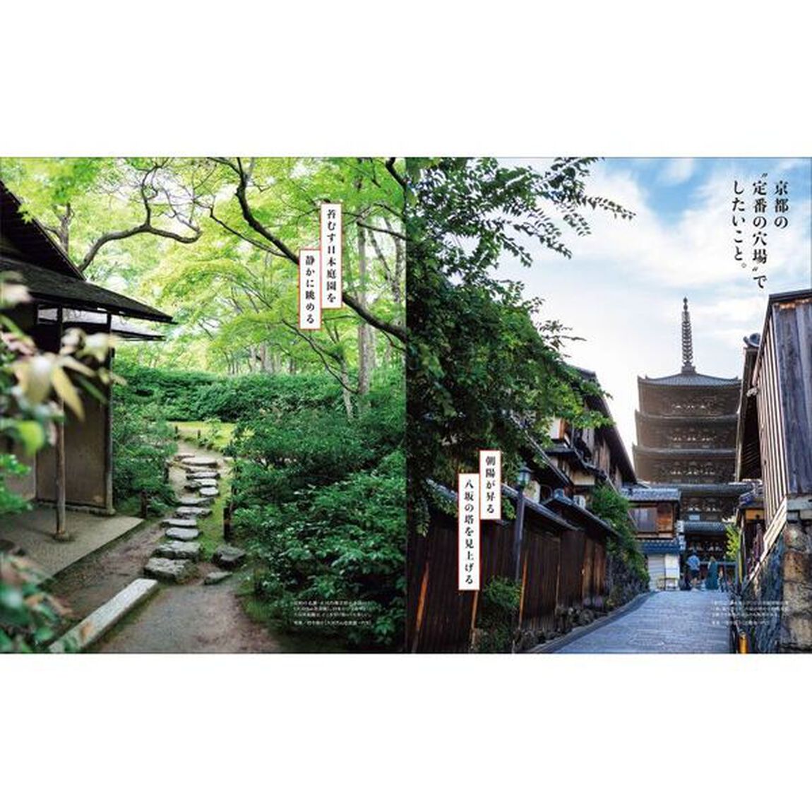 京都本　2026