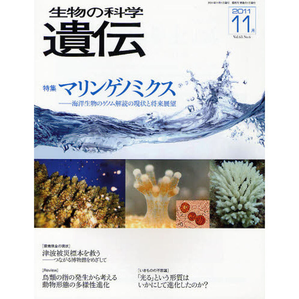 生物の科学遺伝　Ｖｏｌ．６５Ｎｏ．６（２０１１－１１月）「特集マリンゲノミクス　海洋生物のゲノム解読の現状と将来展望」