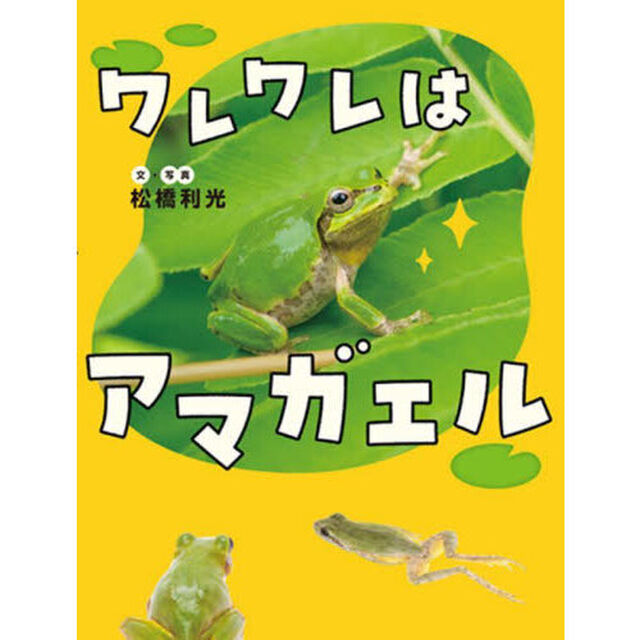 ワレワレはアマガエル