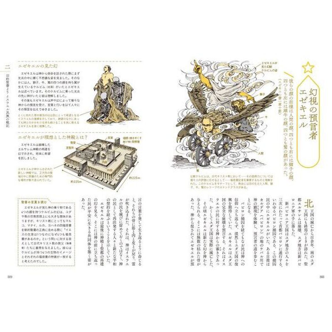 聖書の解剖図鑑　神さまと私たちの物語