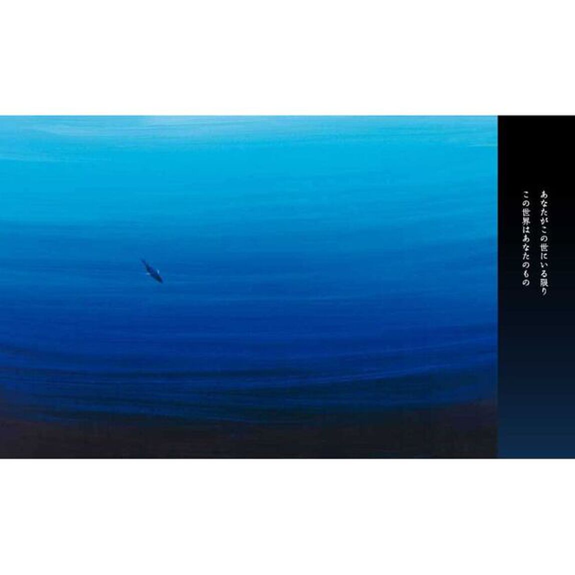 ＤＡＲＫ　ＢＬＵＥ　そして、光へ
