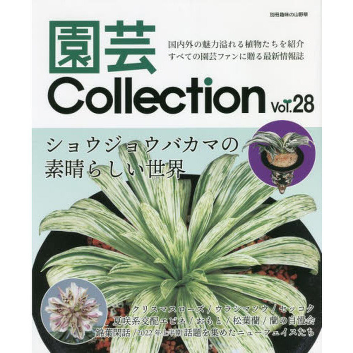 園芸Ｃｏｌｌｅｃｔｉｏｎ　Ｖｏｌ．２８「ショウジョウバカマ　ウラシマソウ　セッコク　蘭の自慢会　おもと」