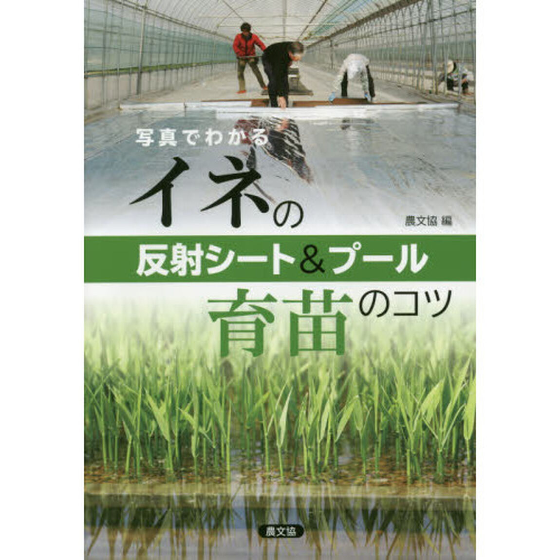写真でわかるイネの反射シート＆プール育苗のコツ