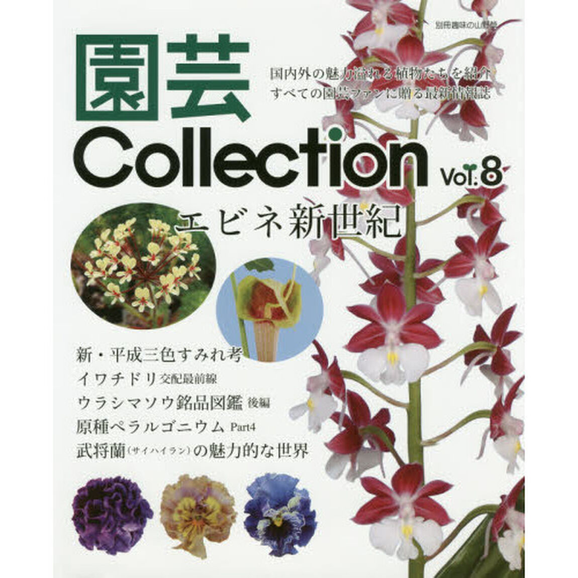 園芸Ｃｏｌｌｅｃｔｉｏｎ　Ｖｏｌ．８「エビネ　新・平成三色すみれ　ウラシマソウ　イワチドリ」