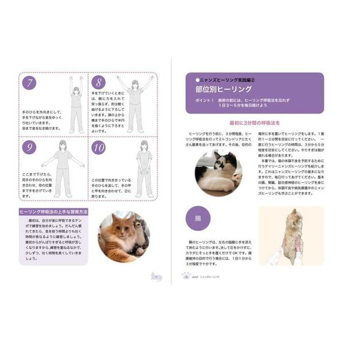 １日３分！おうちで出来るニャンズケア＆マッサージ