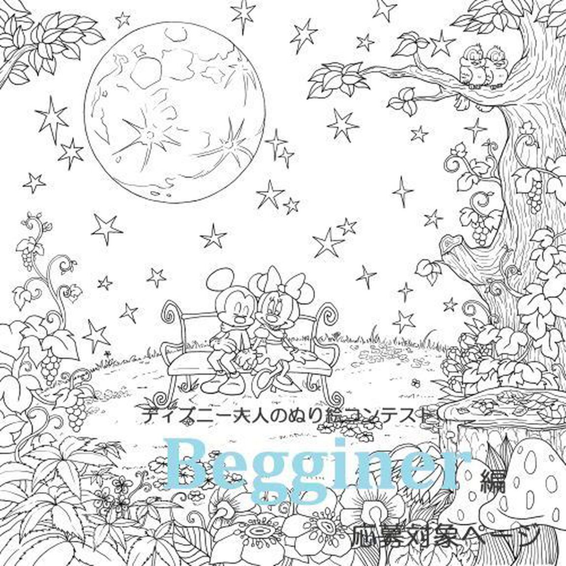 大人ディズニー 素敵な塗り絵レッスンブック（大人のぬり絵コンテスト対象商品）