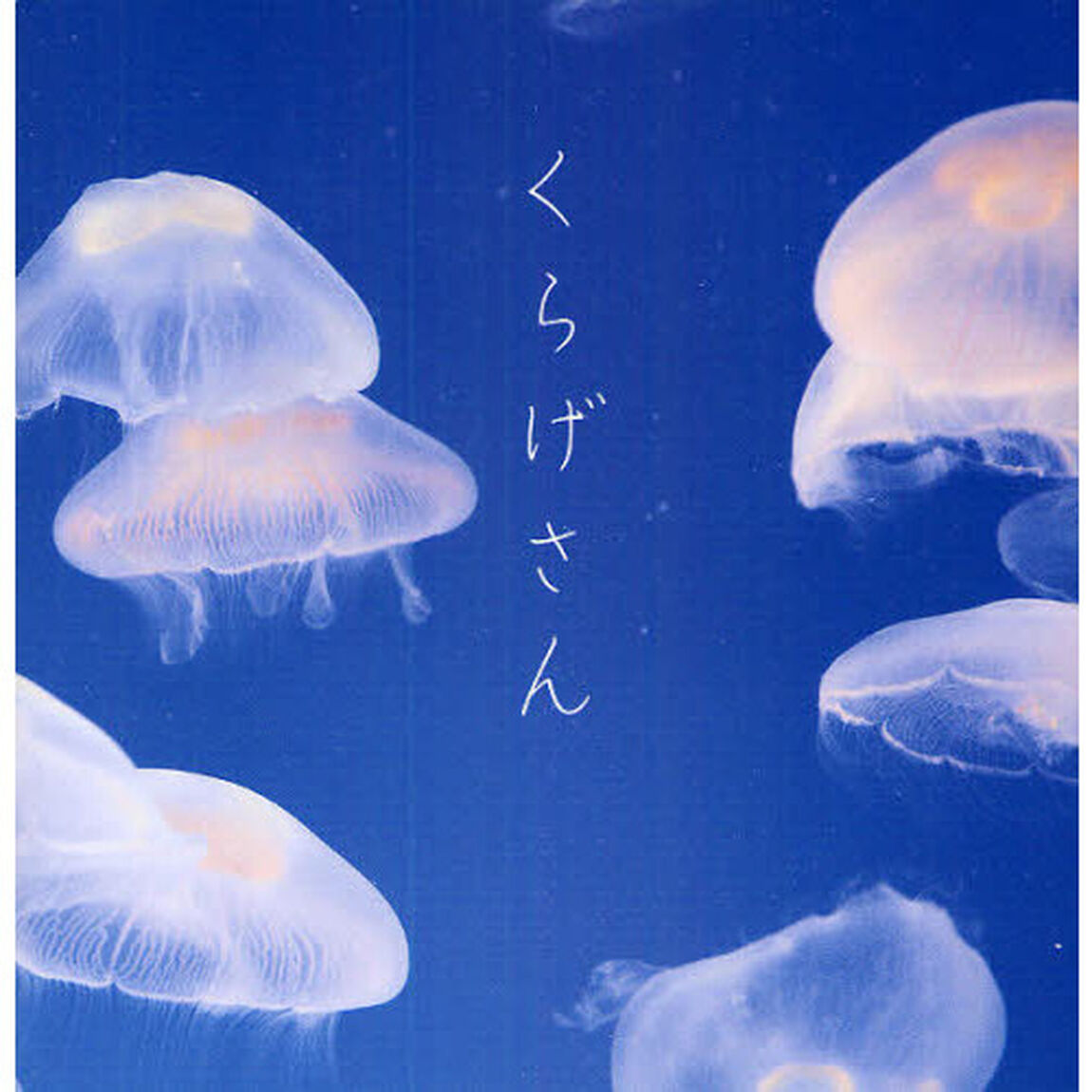 くらげさん
