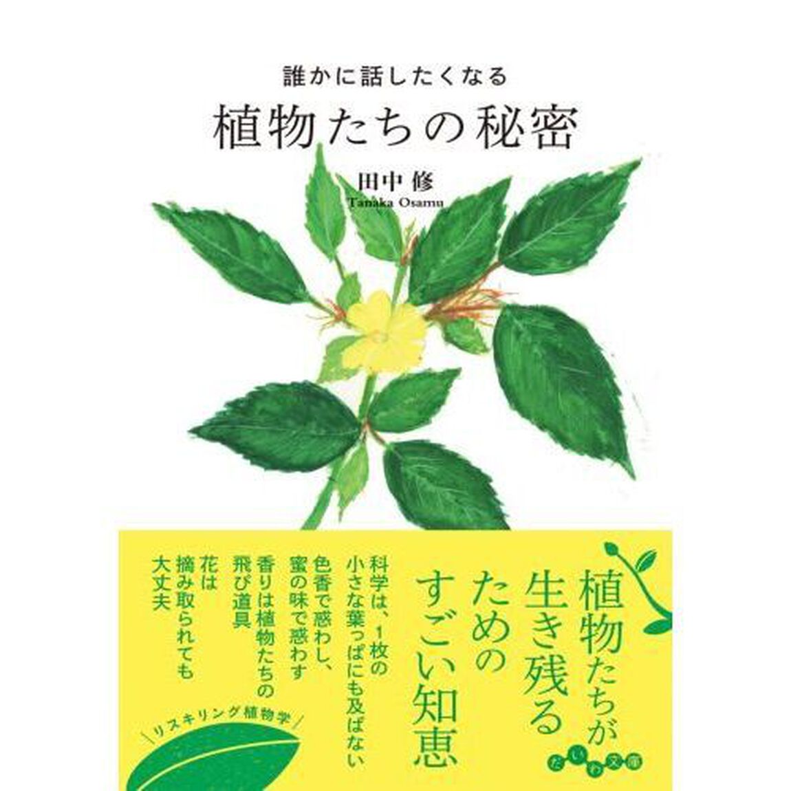 誰かに話したくなる植物たちの秘密