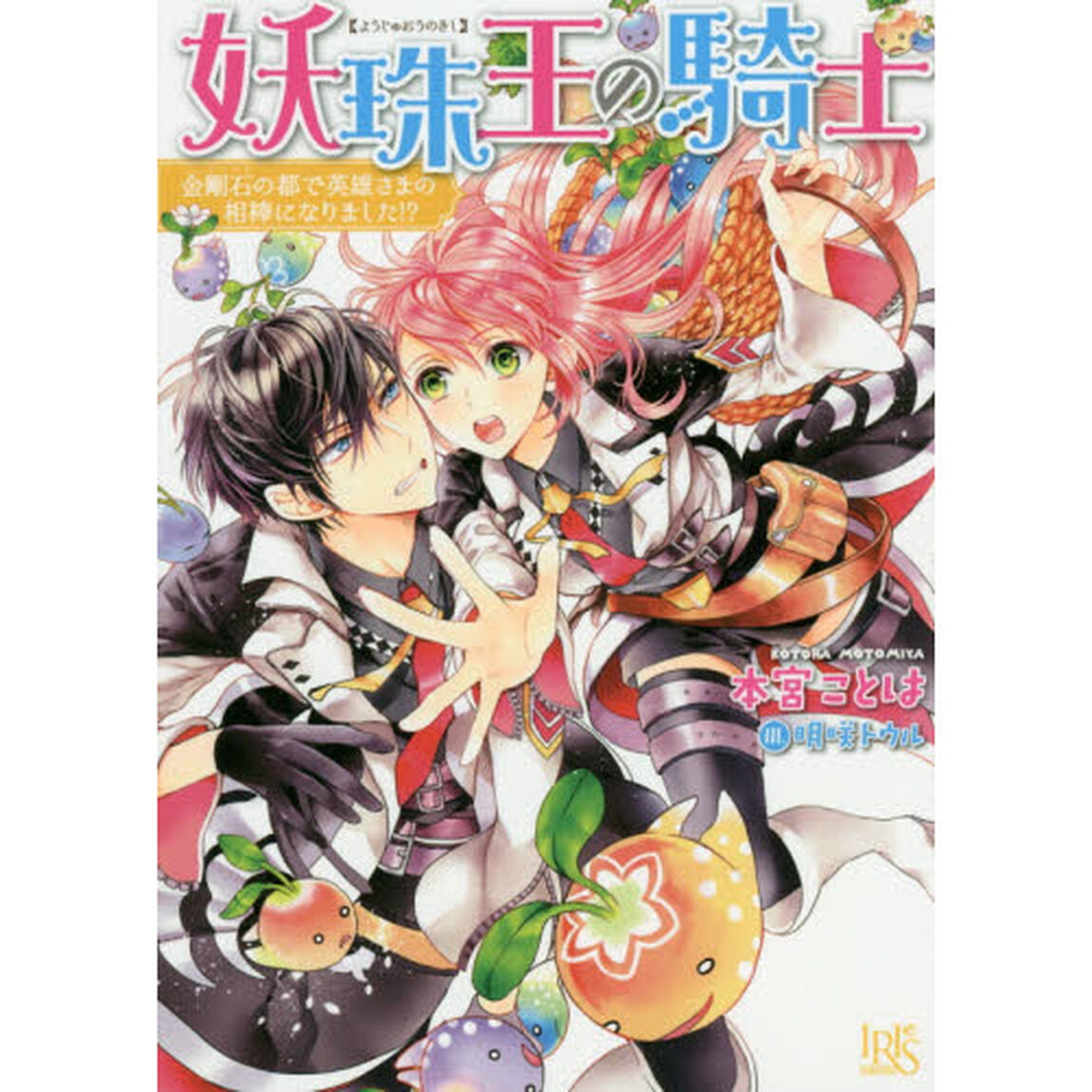 妖珠王の騎士　金剛石の都で英雄さまの相棒になりました！？