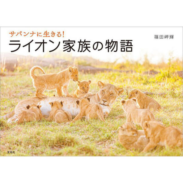 サバンナに生きる！ライオン家族の物語