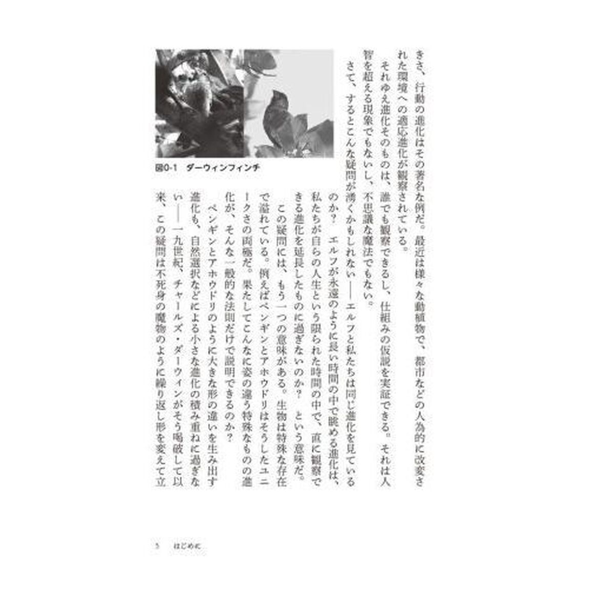 進化という迷宮　隠れた「調律者」を追え