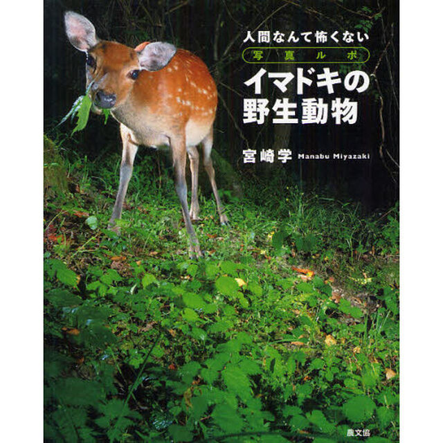 イマドキの野生動物　人間なんて怖くない　写真ルポ
