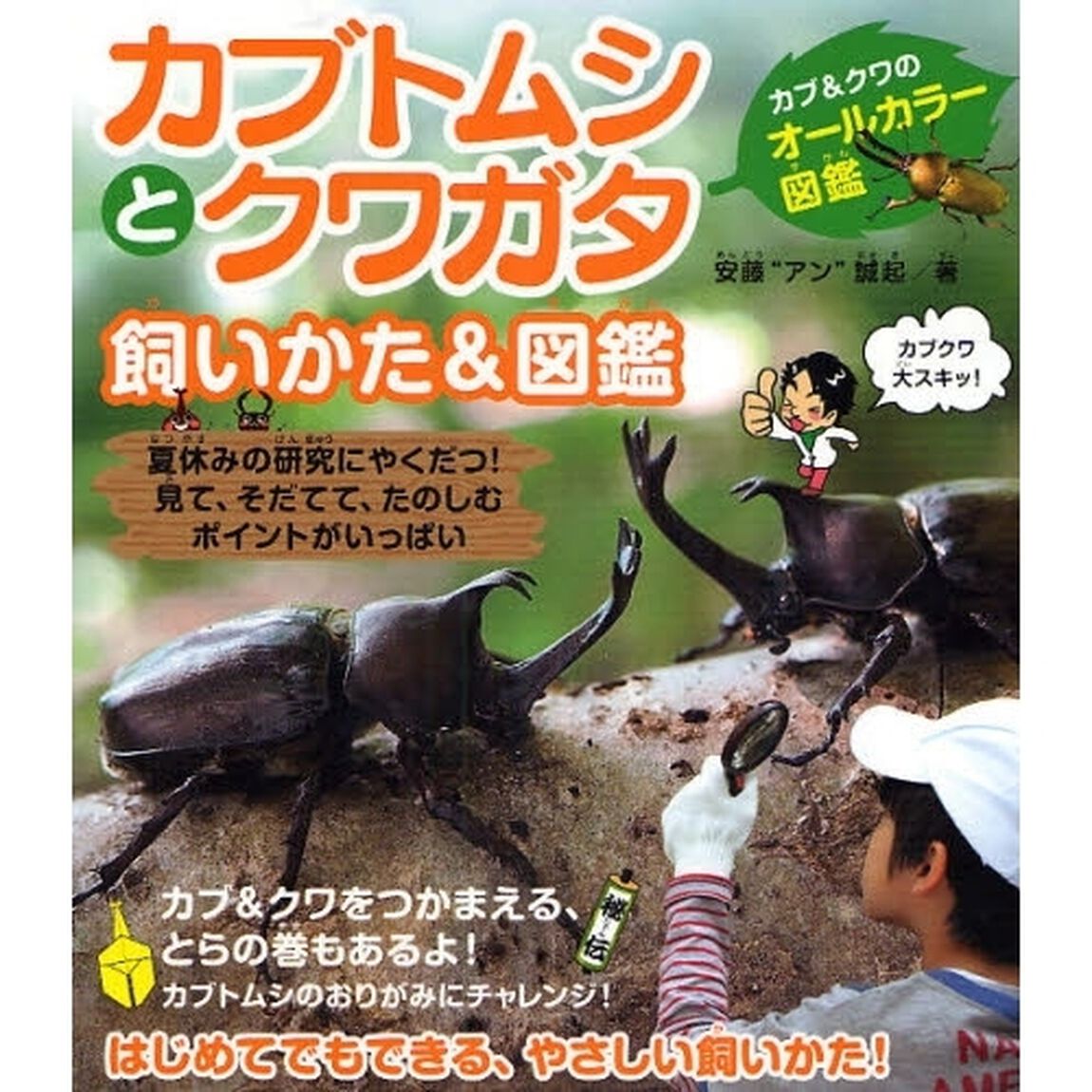 カブトムシとクワガタ飼いかた＆図鑑　カブ＆クワのオールカラー図鑑　夏休みの研究にやくだつ！見て、そだてて、たのしむポイントがいっぱい