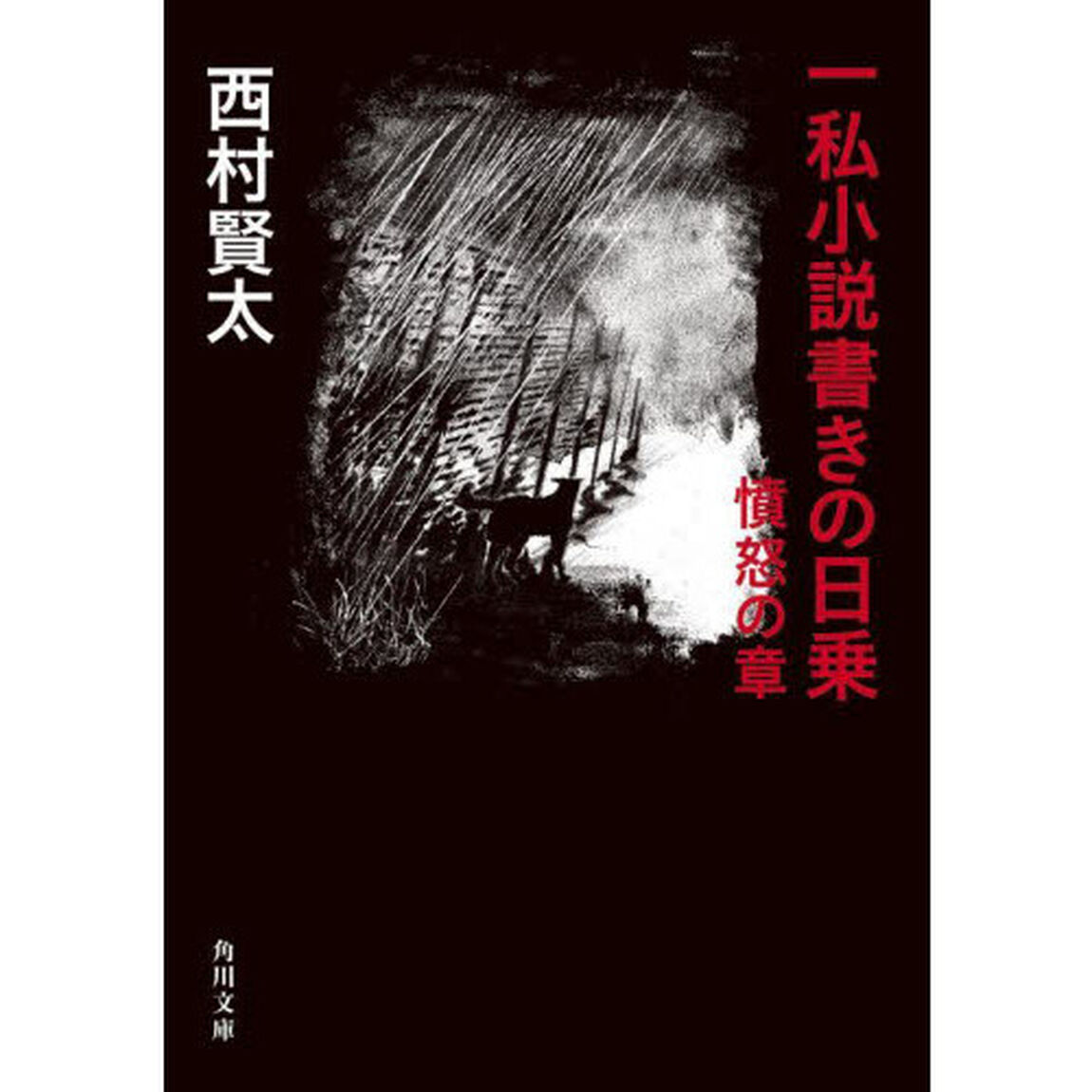 一私小説書きの日乗　憤怒の章