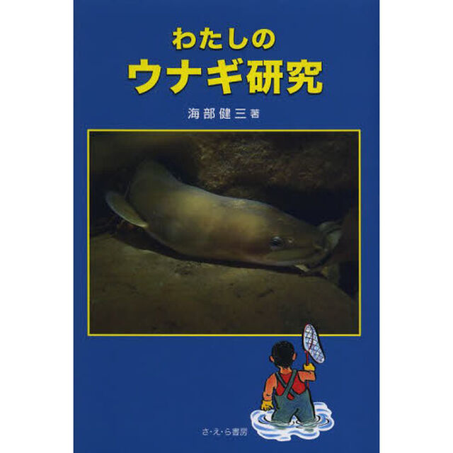 わたしのウナギ研究