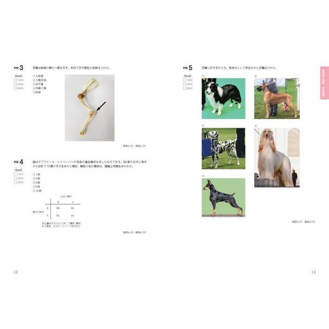 動物看護師統一認定試験完全攻略！問題＆解説集　２０２１年版
