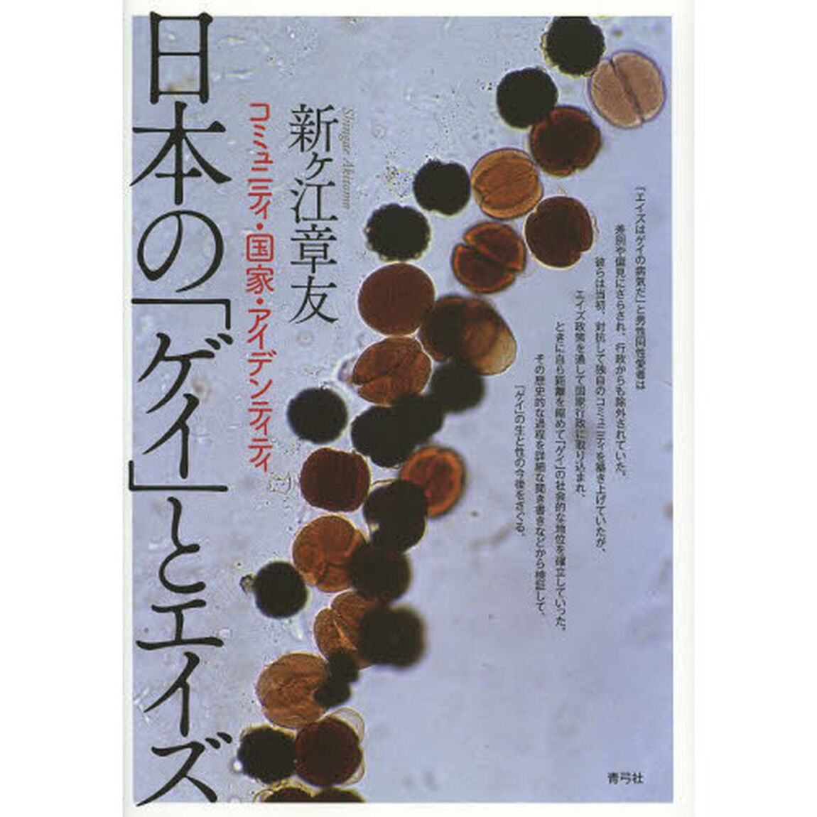 日本の「ゲイ」とエイズ　コミュニティ・国家・アイデンティティ