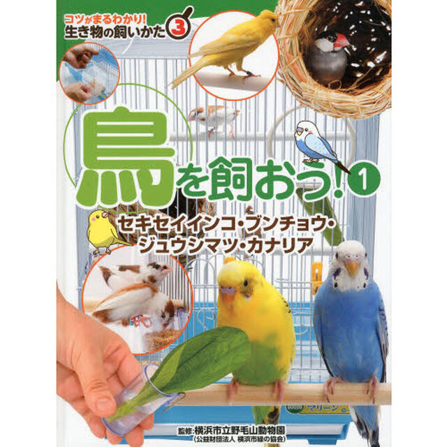 コツがまるわかり！生き物の飼いかた　３「鳥を飼おう！　１」