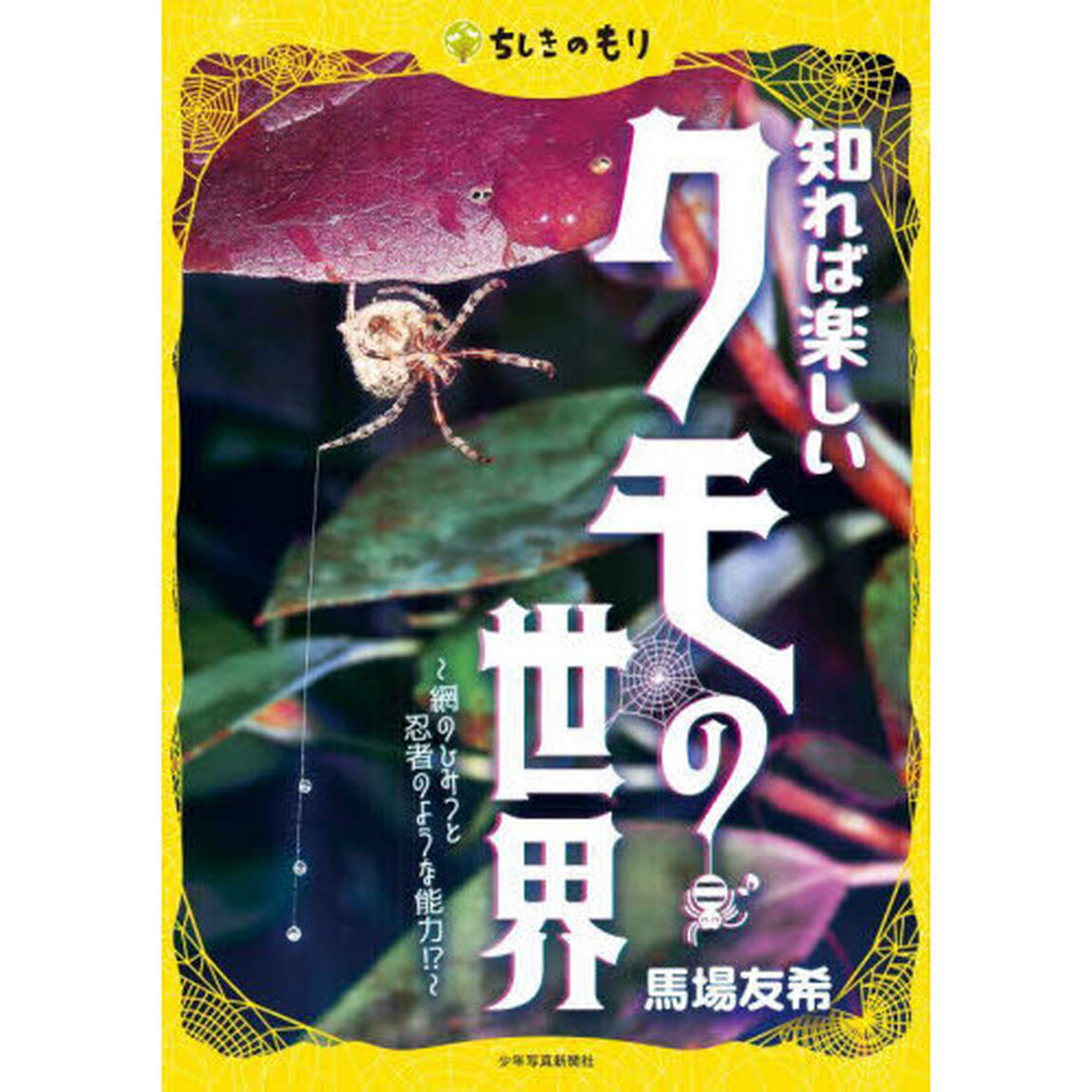 知れば楽しいクモの世界　網のひみつと忍者のような能力！？