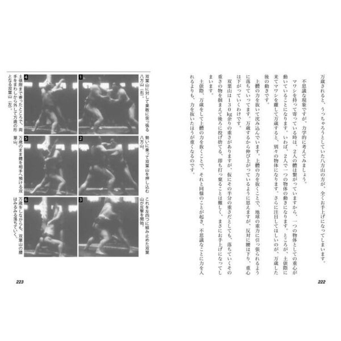 相撲の力学　神技のカラクリ