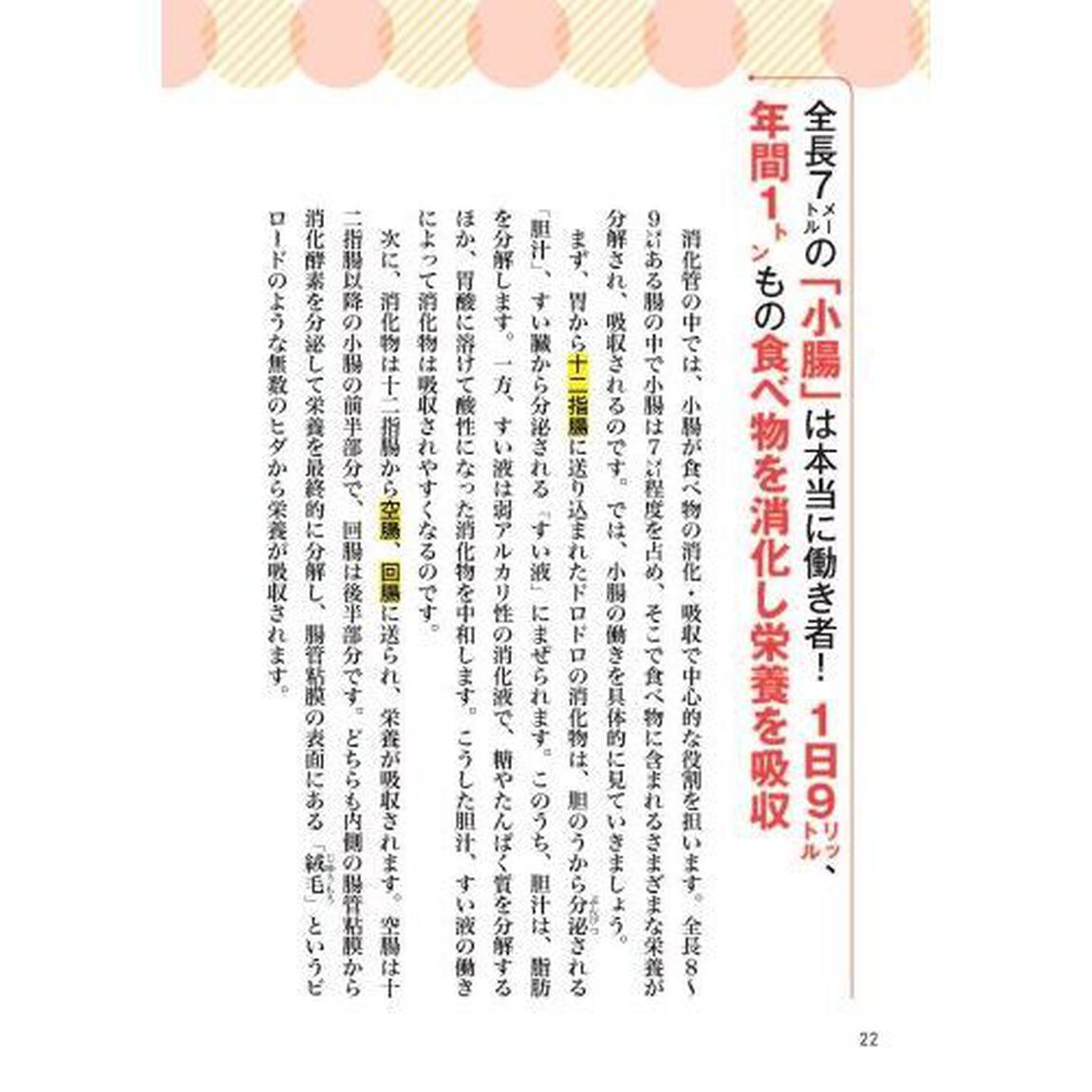 腸すごい！　医学部教授が教える最高の強化法大全