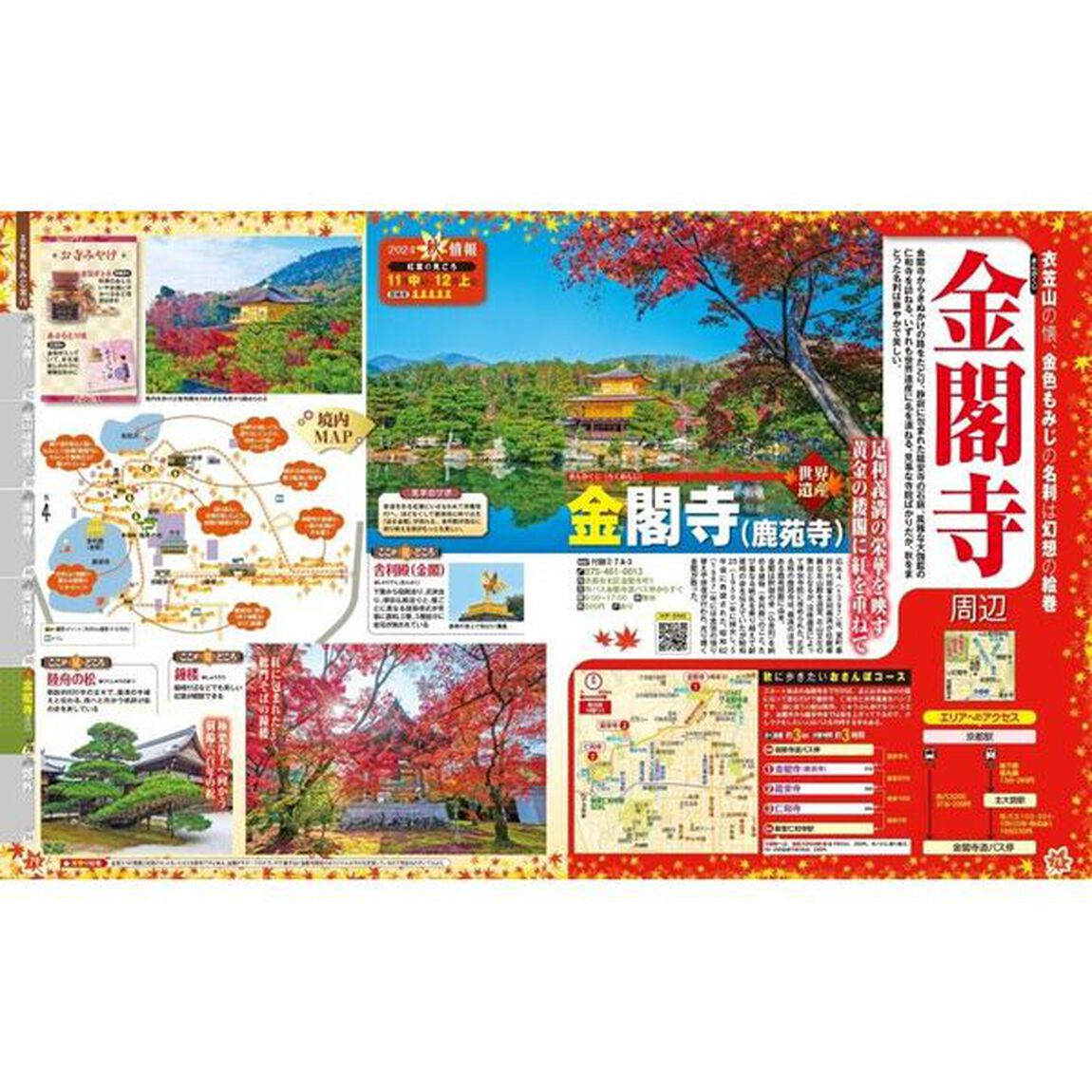 秋紅葉の京都　２０２４