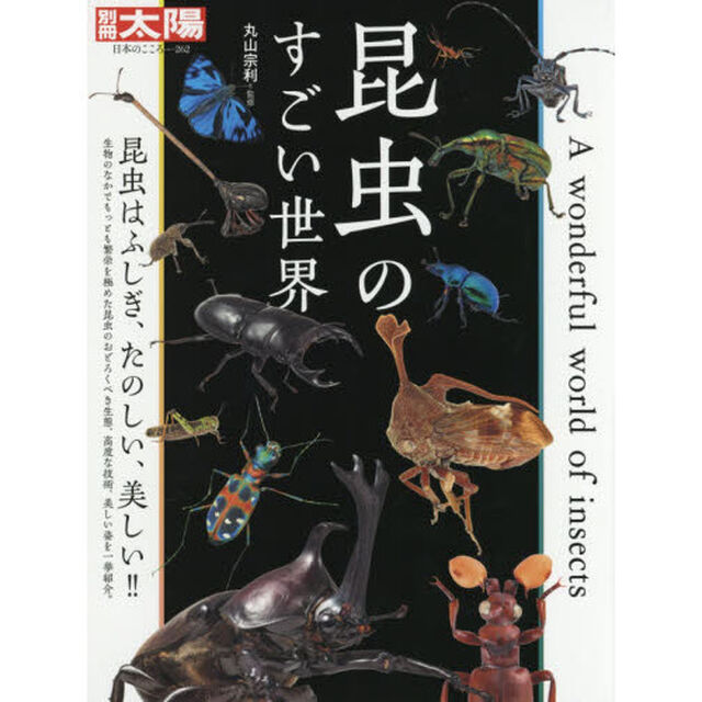 昆虫のすごい世界