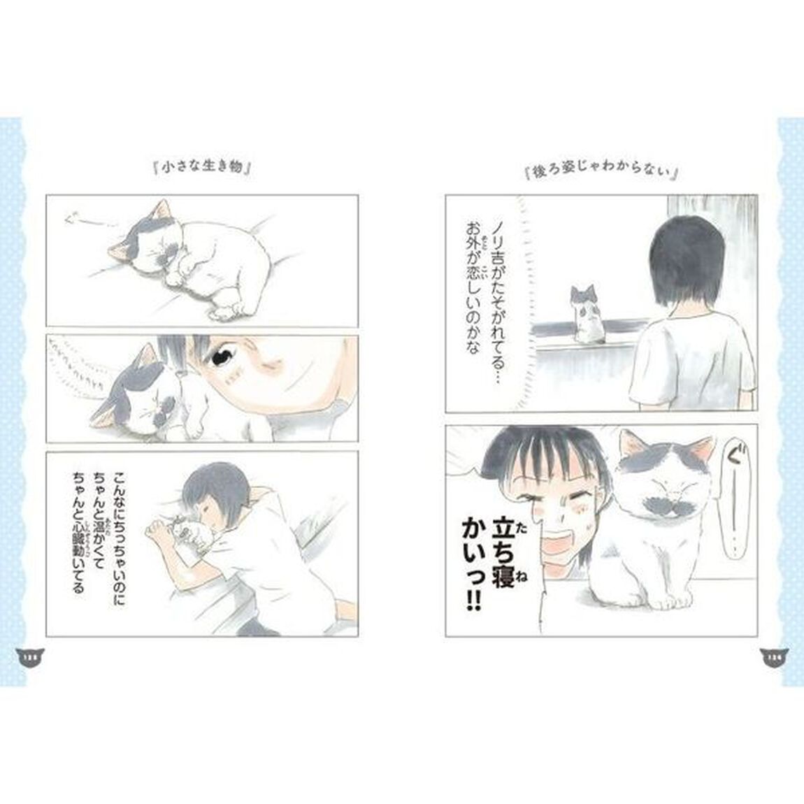 ノリ吉は大吉猫