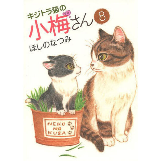 キジトラ猫の小梅さん　８